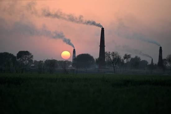 Photo: ©FAO/Aamir Qureshi