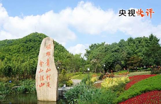 【央视快评】把碳达峰碳中和纳入生态文明建设整体布局