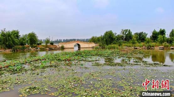 图为经过生态修复的矿山地质环境恢复治理工程——永城市沱河湿地公园。 孙海峰 摄