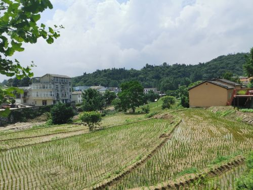 韩特(169596)-20210414095412