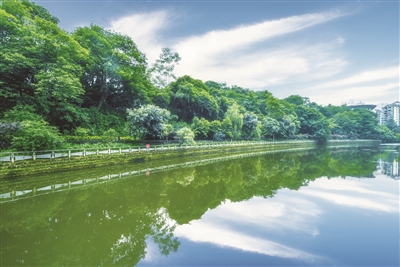 http://sg.nefu.edu.cn/_vsl/5751EFAB47EAAED0B3A4262F2359E520/4B462209/189FE